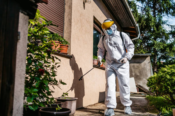 Best Flea Control Services  in Hughes Springs, TX