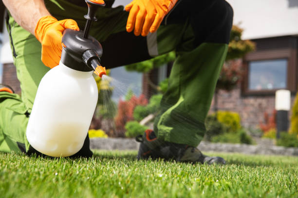 Best Pest Prevention Services  in Hughes Springs, TX