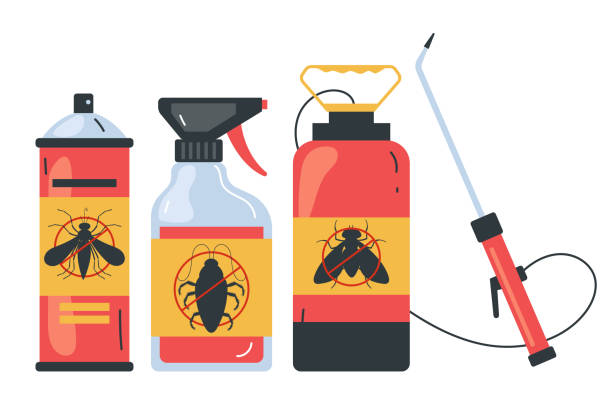 Best Pest Control Treatment  in Hughes Springs, TX