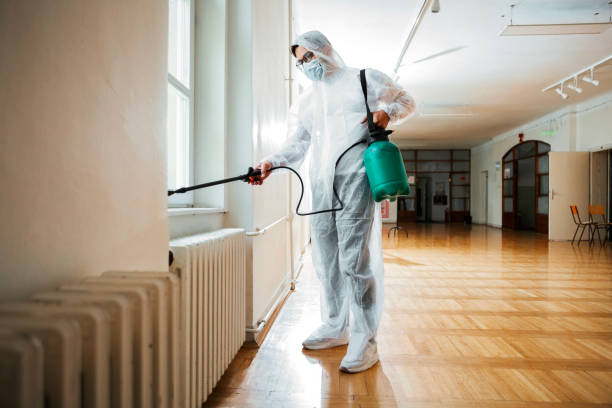 Best Pest Control for Homes  in Hughes Springs, TX