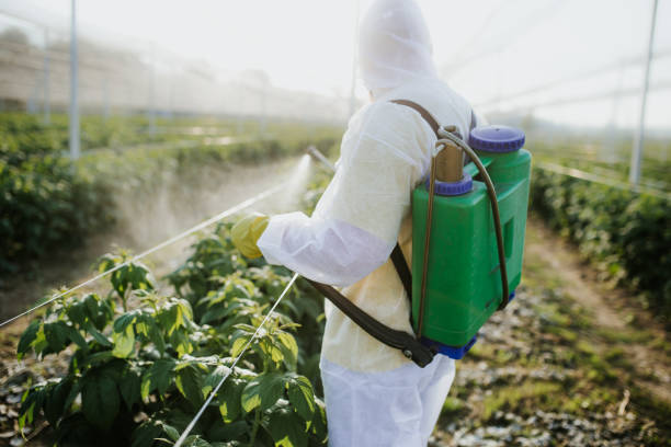 Flea Control Services in Hughes Springs, TX